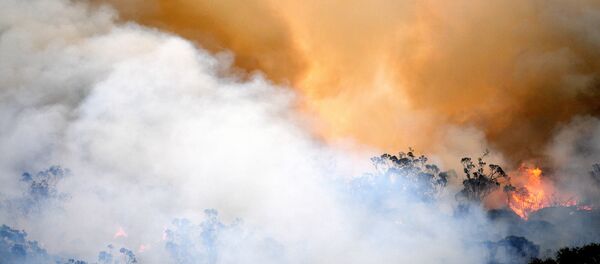 Incendies en Australie Incendies en Australie - Sputnik Afrique