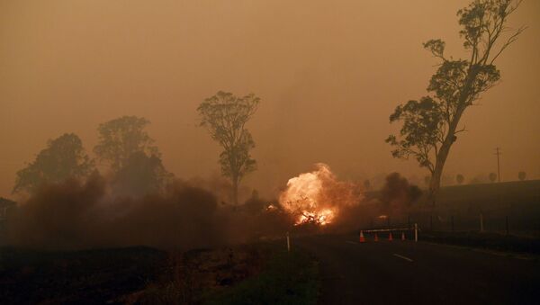 les incendies de forêts en Australie, le 5 janvier 2020 - Sputnik Afrique