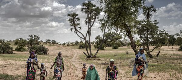 Niger - Sputnik Afrique