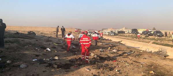 Un Boeing 737 ukrainien avec 167 personnes à son bord s'écrase en Iran  - Sputnik Afrique