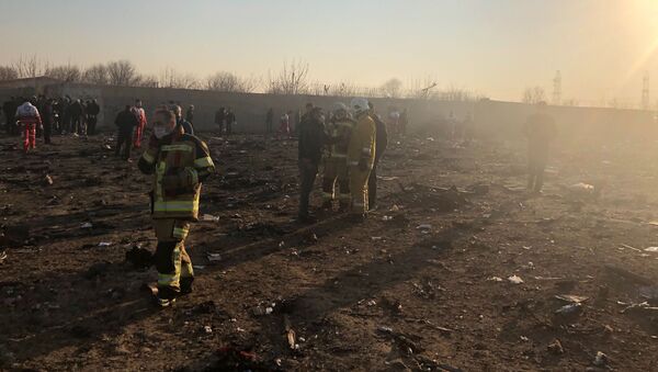 Un Boeing 737 ukrainien avec 167 personnes à son bord s'écrase en Iran - Sputnik Afrique