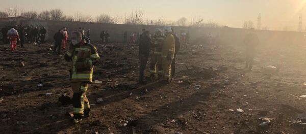 Un Boeing 737 ukrainien avec 167 personnes à son bord s'écrase en Iran - Sputnik Afrique