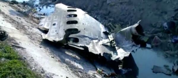 Un fragment du Boeing ukrainien - Sputnik Afrique