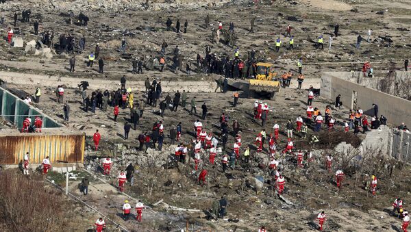 le lieu du crash du Boeing 737 de la compagnie Ukraine International Airlines - Sputnik Afrique