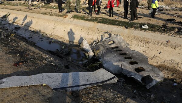 Crash du Boeing 737 de la compagnie Ukraine International Airlines en Iran - Sputnik Afrique