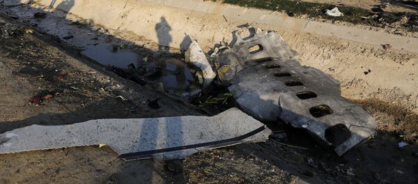 Crash du Boeing 737 de la compagnie Ukraine International Airlines en Iran - Sputnik Afrique