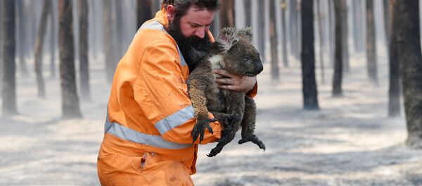 Incendies en Australie: des images post-apocalyptiques et un milliard d'animaux tués
 - Sputnik Afrique