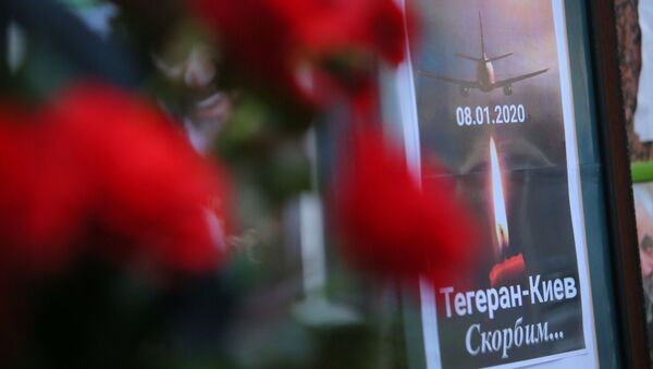 A memorial poster showing Ukrainian Boeing 737-800 plane that crashed outside Tehran, Iran, is seen outside the Iranian Embassy in Kyiv, Ukraine - Sputnik Afrique