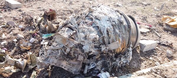 Débris du Boeing 737-800 ukrainien - Sputnik Afrique