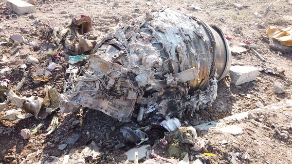 Débris du Boeing 737-800 ukrainien - Sputnik Afrique