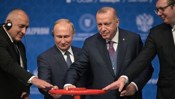 Рабочий визит президента РФ В. Путина в Турецкую Республику - Sputnik Afrique