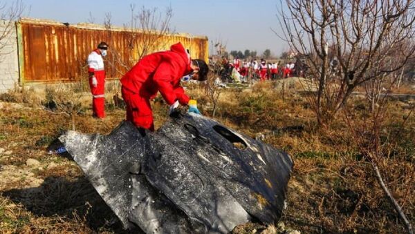Un fragment du Boeing ukrainien abattu en Iran - Sputnik Afrique
