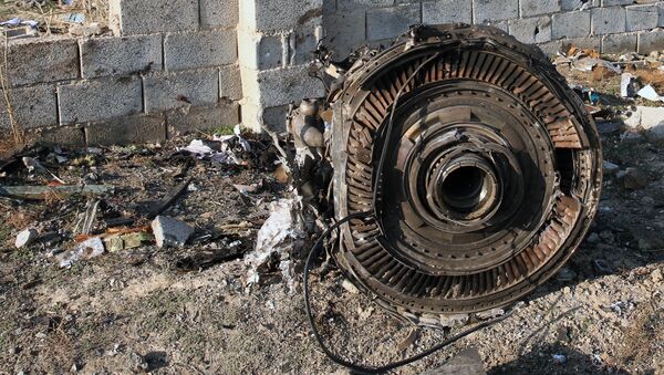 Un moteur du Boeing 737 ukrainien abattu en Iran - Sputnik Afrique