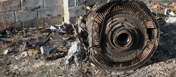 Un moteur du Boeing 737 ukrainien abattu en Iran - Sputnik Afrique