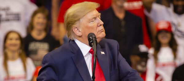 Donald Trump lors d'un meeting électoral (archive photo) - Sputnik Afrique