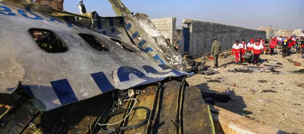 Crash du Boeing 737-800 de Ukraine Airlines International près de Téhéran - Sputnik Afrique