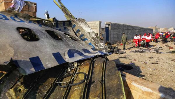 Crash du Boeing 737-800 de Ukraine Airlines International près de Téhéran - Sputnik Afrique