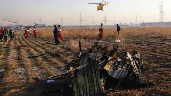 Crash d'un Boeing ukranien en Iran - Sputnik Afrique