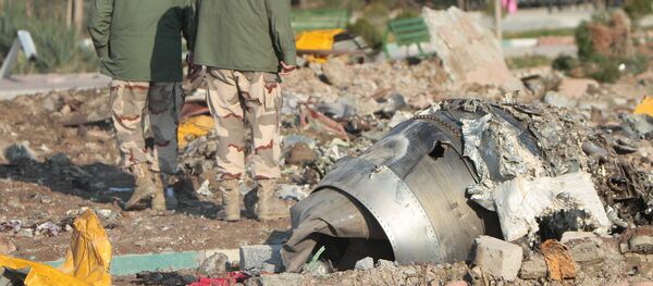 Lieu du crash du Boeing 737-800 en Iran - Sputnik Afrique