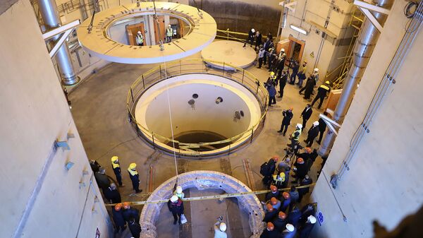 Réacteur nucléaire Iran - Sputnik Afrique