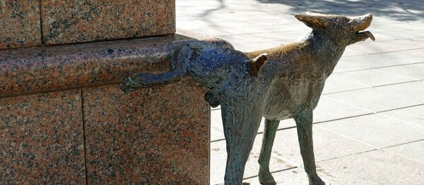 Un chien qui urine (statue) - Sputnik Afrique