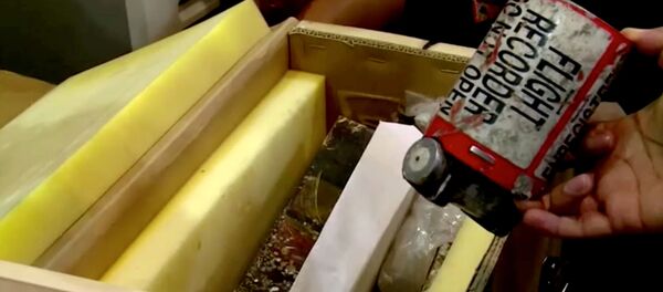 Une boîte noire du Boeing ukrainien abattu en Iran Une boîte noire du Boeing ukrainien abattu en Iran - Sputnik Afrique