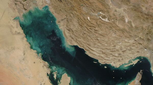 Vue satellite du Golfe persique - Sputnik Afrique