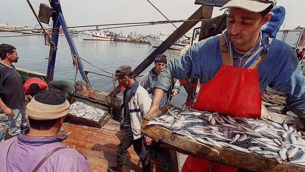 Une journée de pêche au port de Bouharoune (Algérie). - Sputnik Afrique