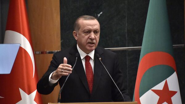 Le Président turc Recep Tayyip Erdogan à la tribune du Forum économique d’Alger, le 27 février 2018. - Sputnik Afrique