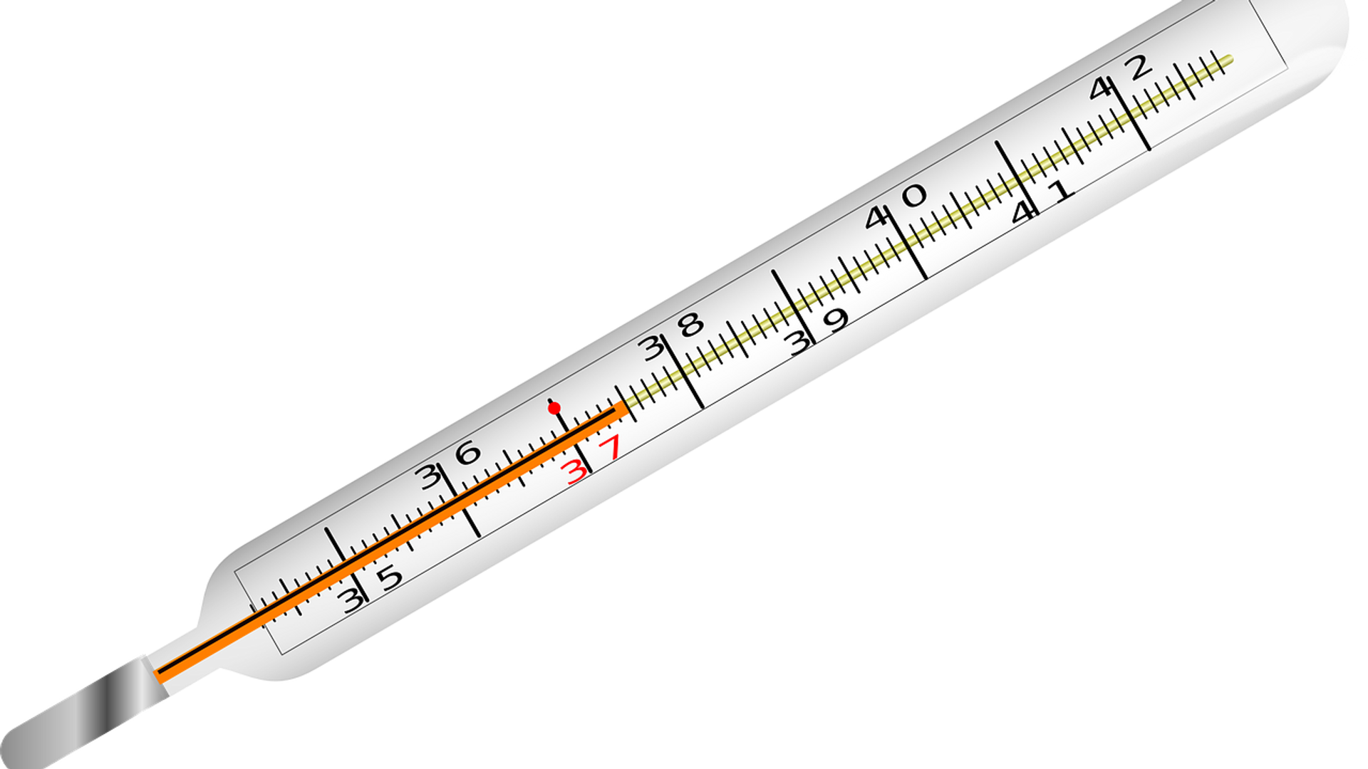 Un thermomètre médical - Sputnik Afrique, 1920, 25.10.2021