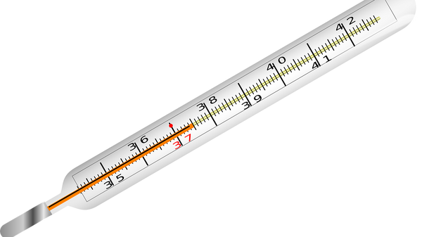 Un thermomètre médical - Sputnik Afrique