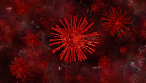 Virus sous microscope - Sputnik Afrique