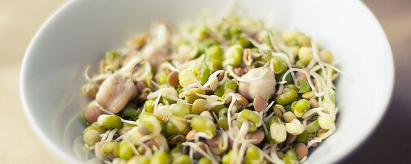 Soja - Sputnik Afrique