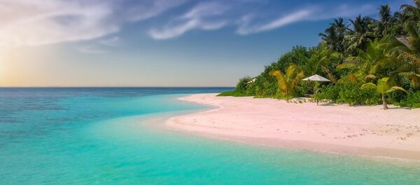 plage (image d'illustration) - Sputnik Afrique