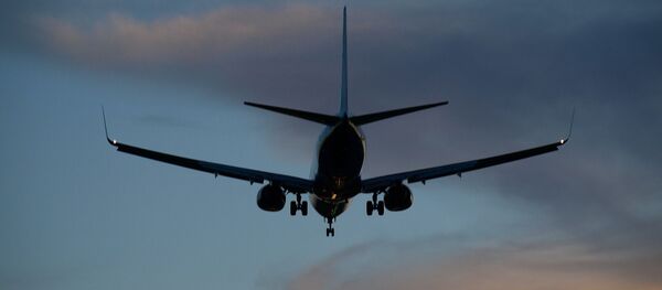 Un avion (image d'illustration) - Sputnik Afrique