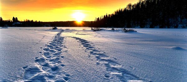 Des traces sur la neige - Sputnik Afrique