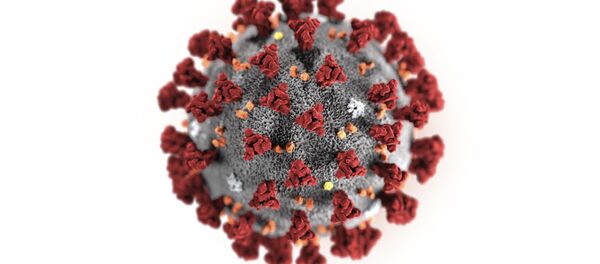 le coronavirus 2019-nCoV - Sputnik Afrique