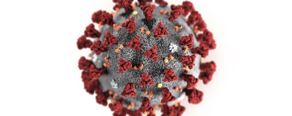 le coronavirus 2019-nCoV - Sputnik Afrique