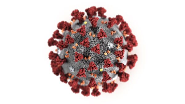 le coronavirus 2019-nCoV - Sputnik Afrique