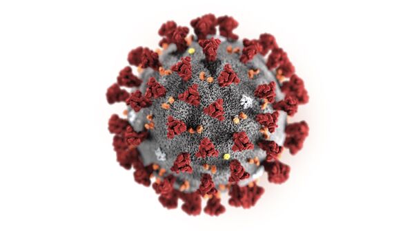 le coronavirus 2019-nCoV - Sputnik Afrique