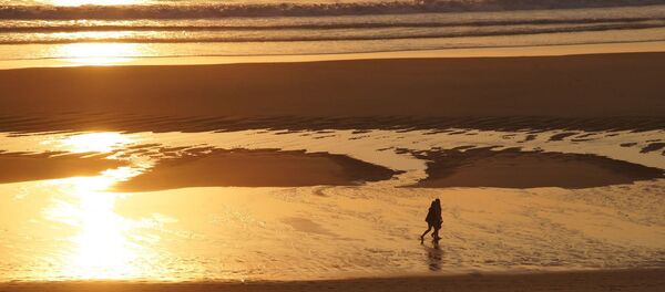 Une plage - Sputnik Afrique
