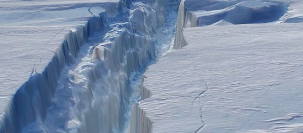 La fissure dans le glacier de Pine Island en Antarctique - Sputnik Afrique