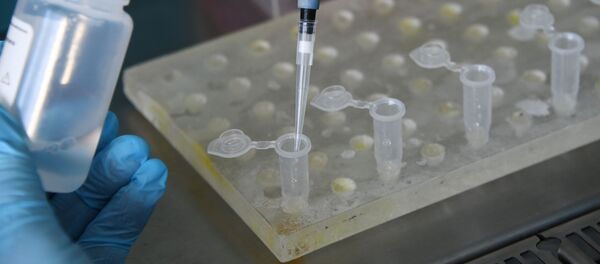 Laboratoire - Sputnik Afrique