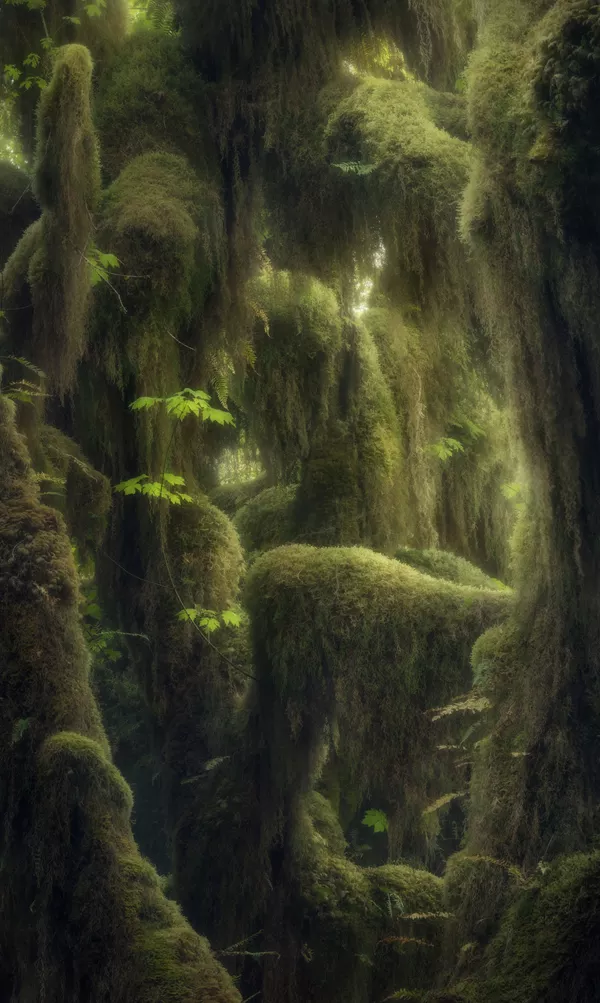 Les meilleurs clichés du concours International Landscape Photographer of the Year 2019
 - Sputnik Afrique