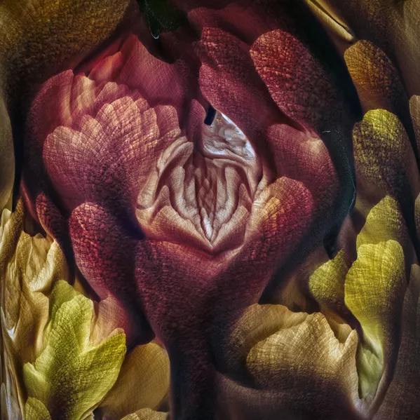 Les meilleurs clichés du concours International Landscape Photographer of the Year 2019
 - Sputnik Afrique