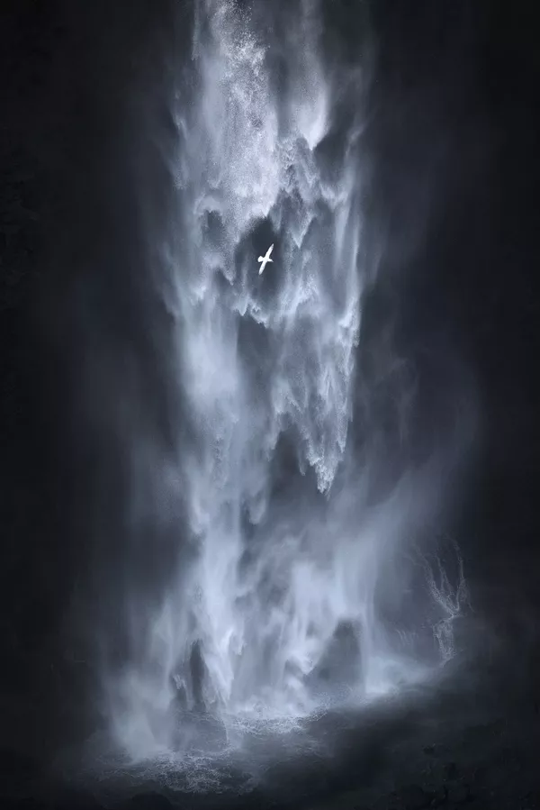 Les meilleurs clichés du concours International Landscape Photographer of the Year 2019
 - Sputnik Afrique