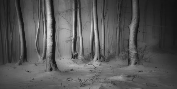 Les meilleurs clichés du concours International Landscape Photographer of the Year 2019
 - Sputnik Afrique