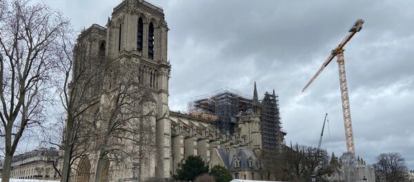 Notre-Dame de Paris, février 2020 - Sputnik Afrique