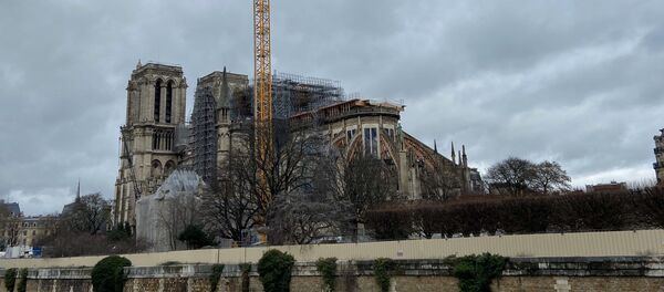 Notre-Dame de Paris, février 2020 - Sputnik Afrique