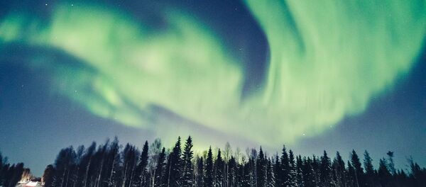 La magie des aurores boréales en Laponie
 - Sputnik Afrique